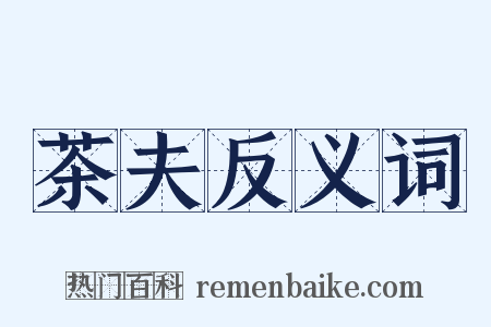 茶夫反义词是什么意思的图片